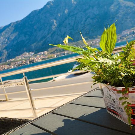 Apartments Jovanovic كوتور الغرفة الصورة